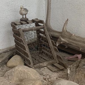 Meet your Posher, Dawn